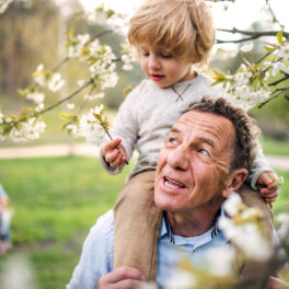 Senior grandfather with toddler grandson standing in nature in spring.
